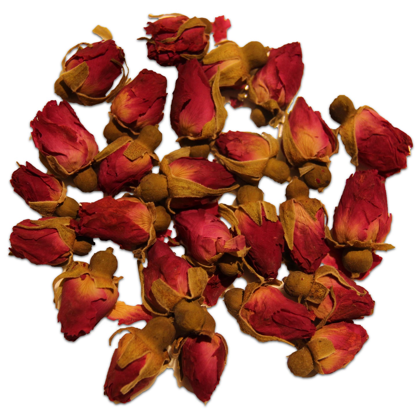 Red rose buds 01