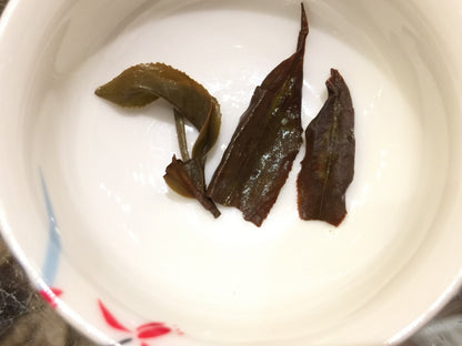 Orientale Beauty Oolong 02